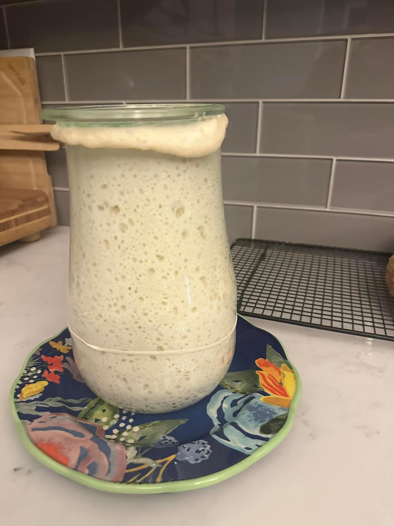 Dehydrated Sourdough Starter