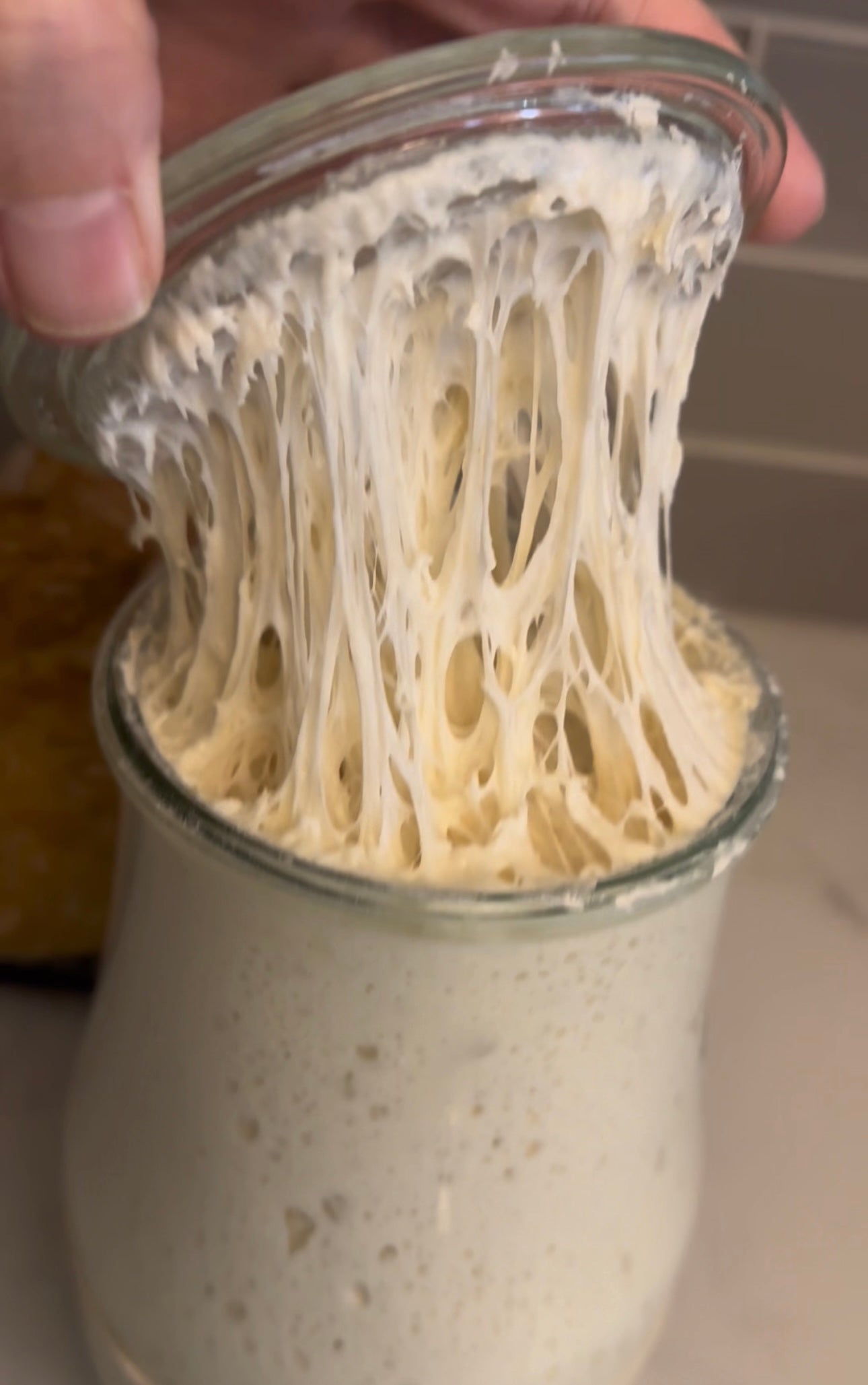 Dehydrated Sourdough Starter
